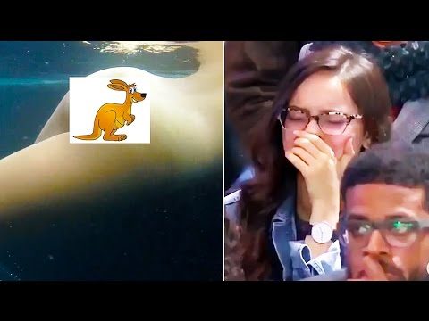 Ozzy Man Reviews: WTF Happened in November
