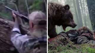 Black Bear Gets Shot Out Of Tree, Attacks Hunter Who Thought He Was Dead