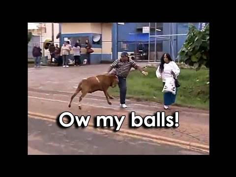 Ozzy Man Reviews: Angry Goat vs Town