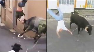 Ozzy Man Reviews: People Fucked Up By Bulls