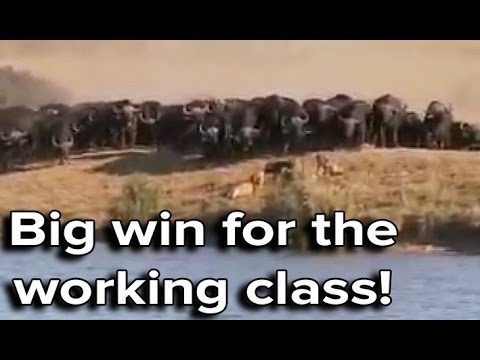 Ozzy Man & Mozza Commentate Battle at Kruger