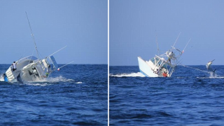 Massive Black Marlin Topples Over Entire Boat And Crew
