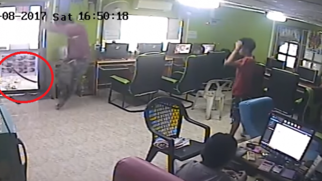Internet Cafe Comes Under Siege By Flying Snake