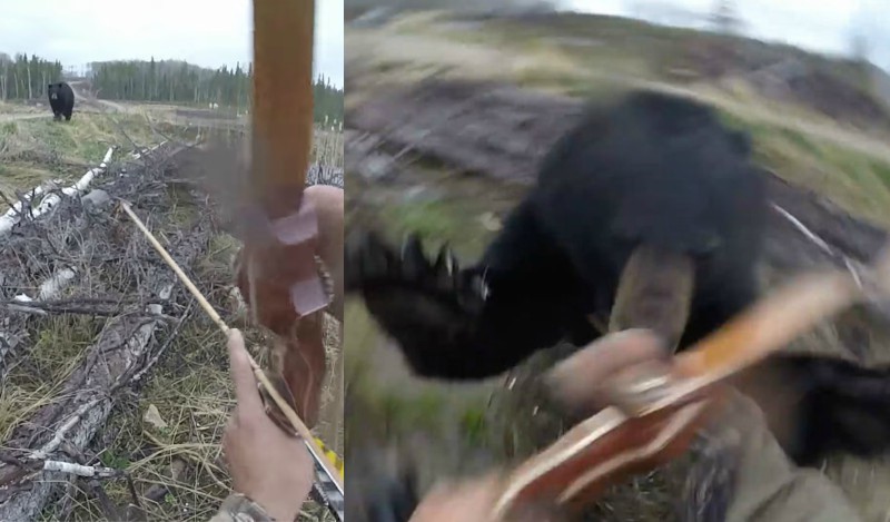 The Heart Stopping Moment A Black Bear Attacks A Hunter
