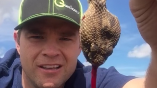 Watch This Lunatic Show You How To Kill A Rattlesnake With Your Bare Hands