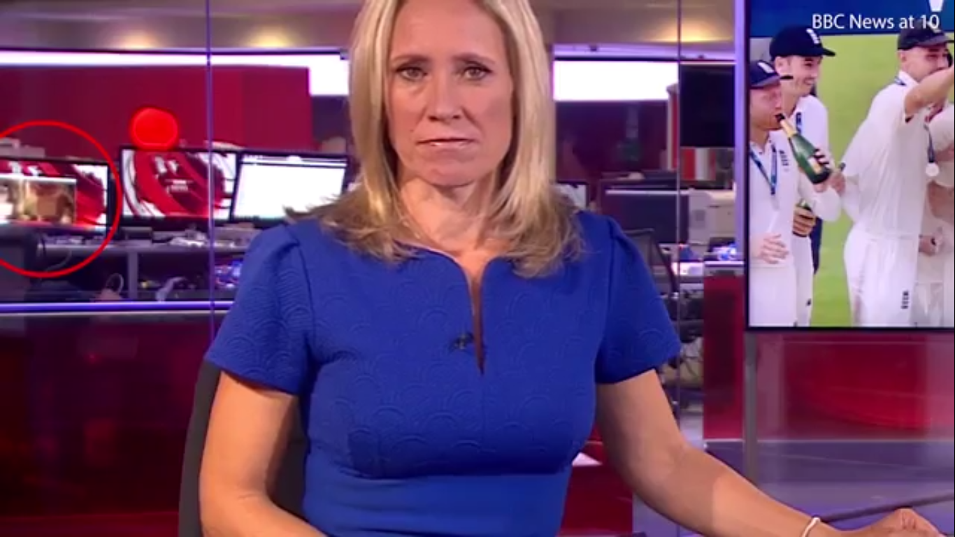 Eagle Eyed Viewers Spotted This X Rated Clip During A Live News Broadcast