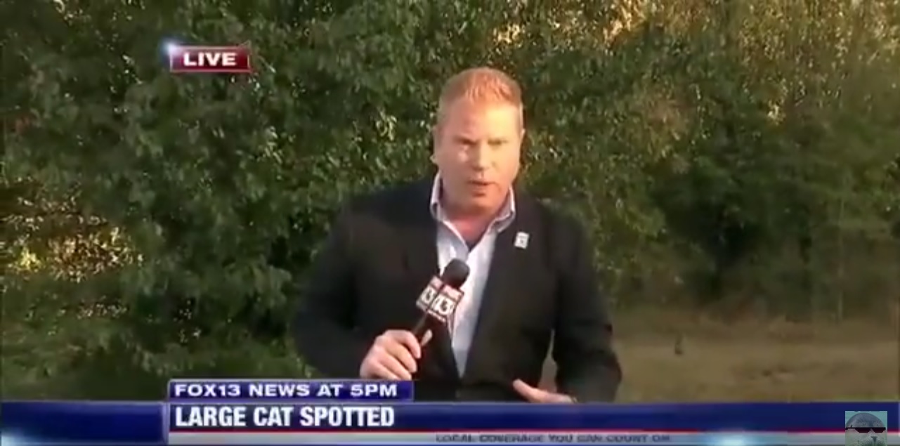 News Reporter Left Embarrassed After Perfect Photobomb on Live TV