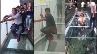 Fake Cracking Effect On a 1200m High Glass Walkway is Mean As F%&k!