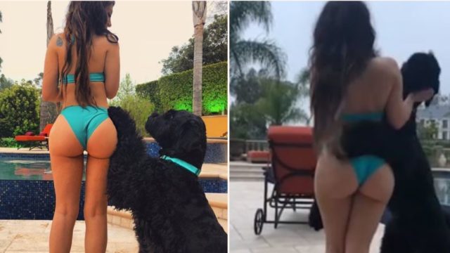 Model being sued for sexually arousing dog after being asked to pose with it