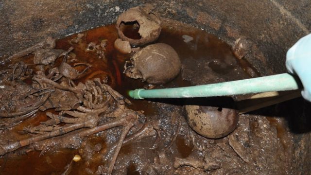 Thousands sign up to drink red liquid from 2000-year-old box found in Alexandria