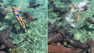 Instagram model bitten by sharks while trying to take pictures