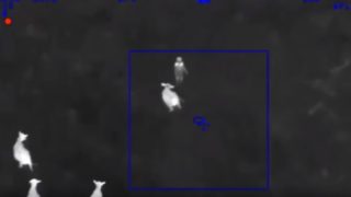 Car thief gets chased down by f*cken cow police