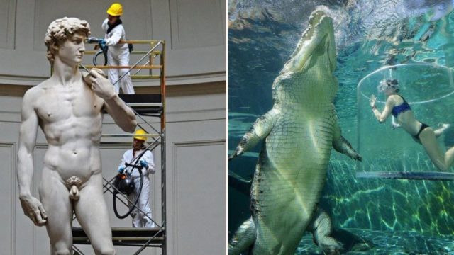 These things are surprisingly way bigger than you’d expect