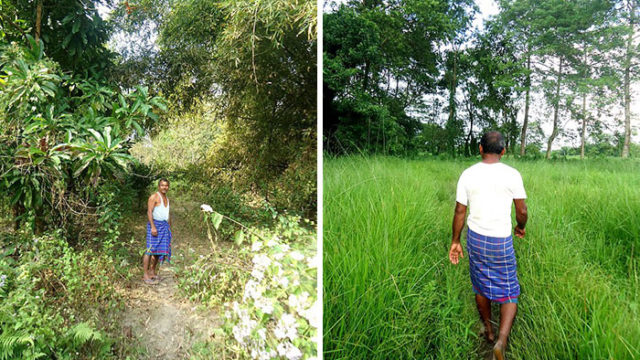 Legendary bloke who planted a tree every day for 40 years has created an unbelievable forest