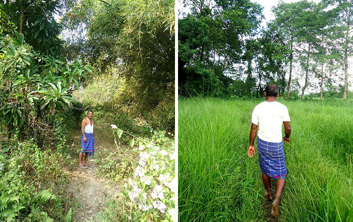 Legendary bloke who planted a tree every day for 40 years has created an unbelievable forest