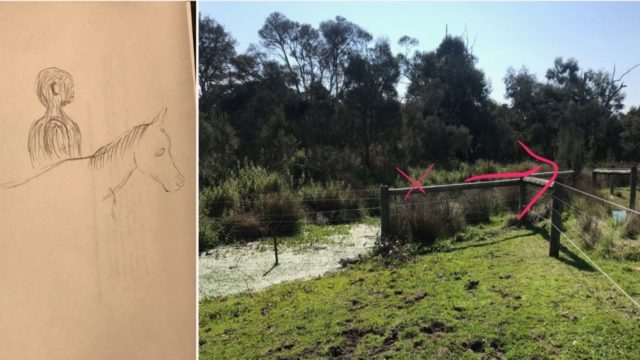 Bloke reckons he’s found the Aussie “Yowie” Bigfoot