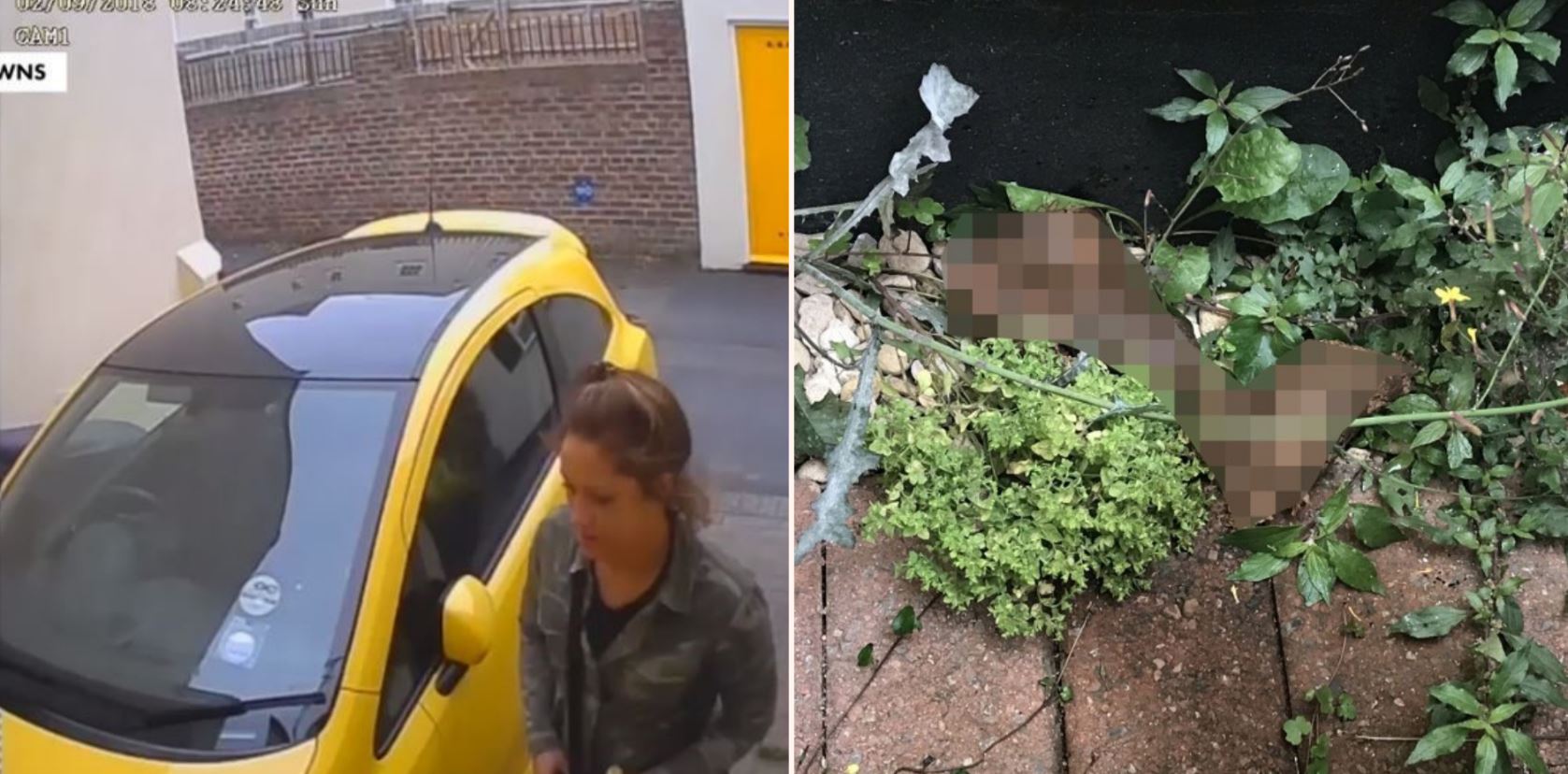 Sheila caught on CCTV camera pumping a massive sh*t on stranger’s driveway