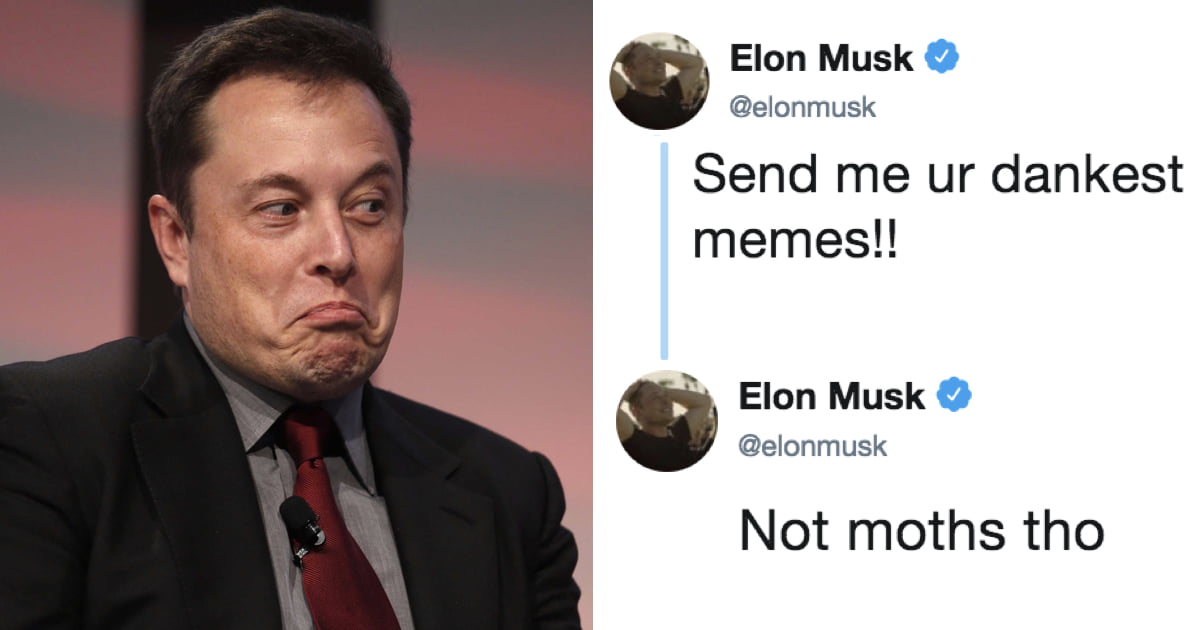 Elon Musk asks Twitter to send him ‘Dank Memes’, it backfires
