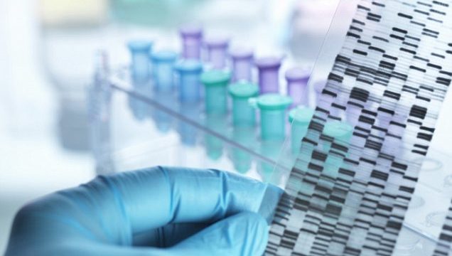 All humans have the same parents, scientists claim