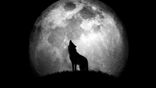 What happens if you put a werewolf on the moon?