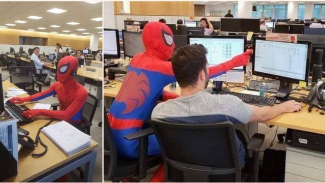 Bloke quits his job and turns up dressed as Spider-Man for last day