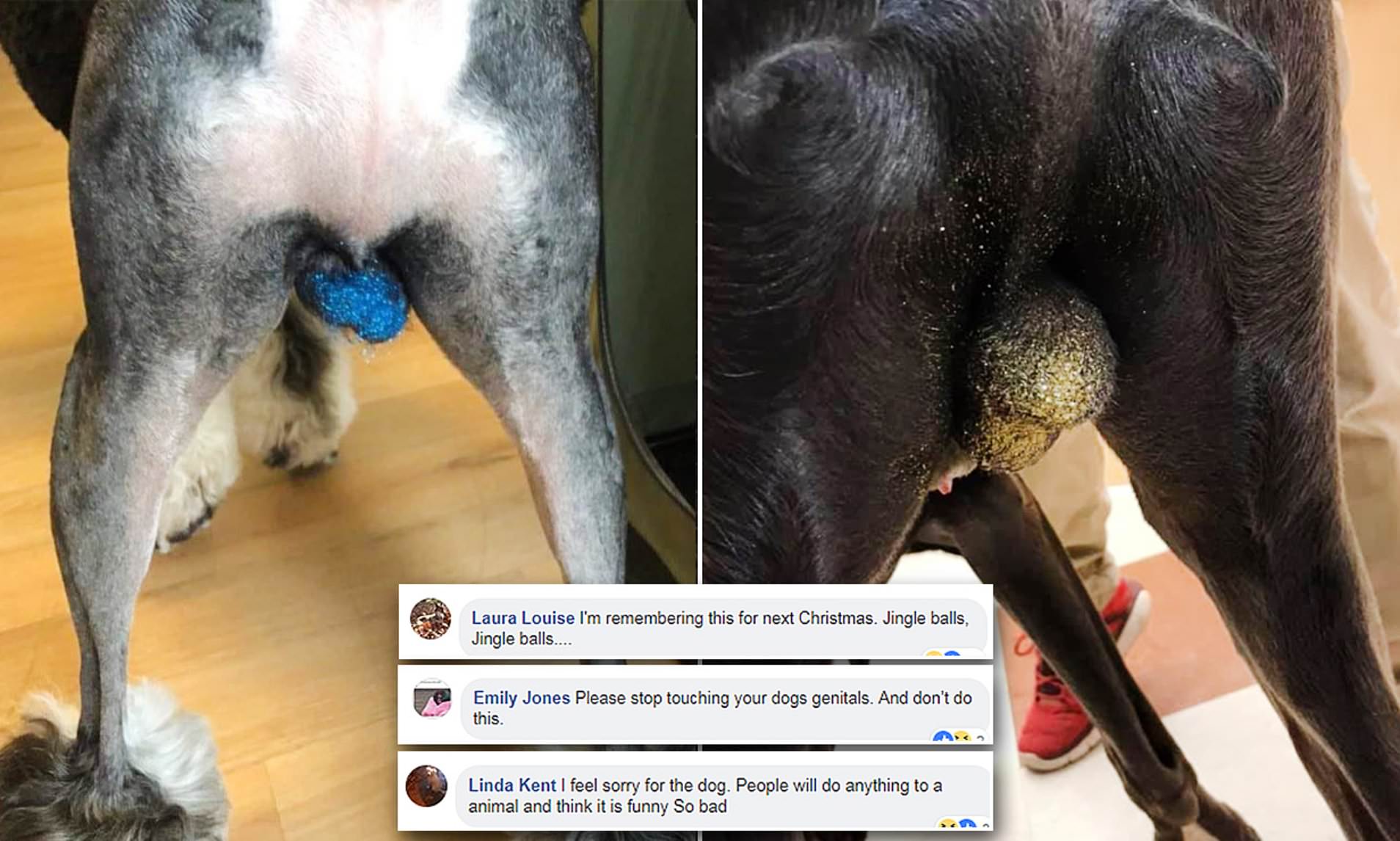People are chucking glitter on their dog’s balls