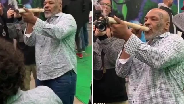 Mike Tyson filmed smoking foot-long joint at pot festival