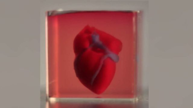 Scientists have created world’s first 3D-printed heart using patient’s own cells