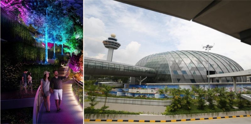 The world’s best airport has a f***en rainforest inside!