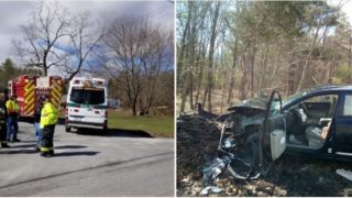 Sheila panics after seeing spider while driving, crashes car