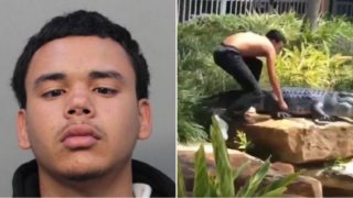 Bloke from Florida gets arrested for RKO’ing an inflatable Alligator