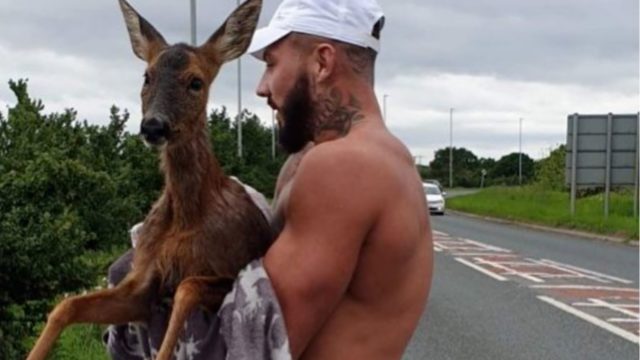 Bloke in his undies jumps into freezing cold lake to save deer