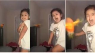 This little sheila has trained her bird to attack on f***en command