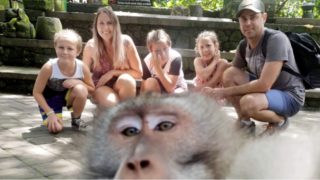 This Cheeky monkey photobombs a family photo and flips them the bird!