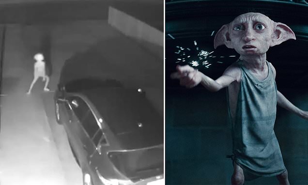 Sheila posts CCTV video showing ‘Dobby’ looking creature in her driveway