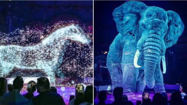 German circus uses holograms instead of live animals to combat animal cruelty