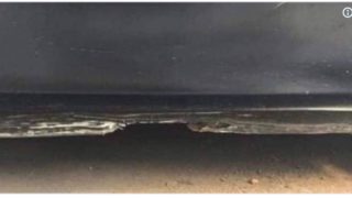 Latest optical illusion divides the Internet, beach or car door?