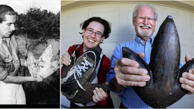 This legend made an entire town believe a 15ft penguin existed with epic prank