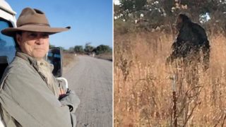 According to this Aussie legend a big ‘Yowie’ is roaming the outback