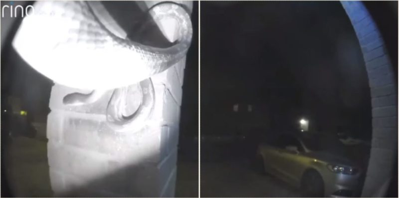 Giant snake is caught on video ringing a doorbell