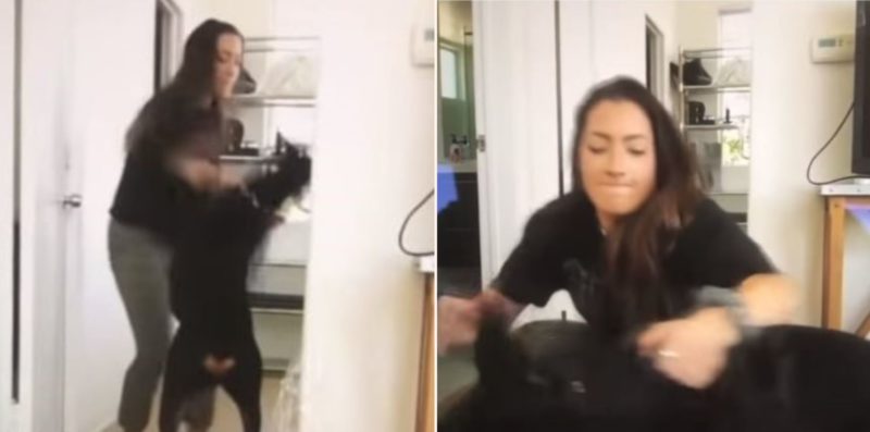 YouTuber under investigation after accidentally uploading footage of her spitting on and hitting her dog