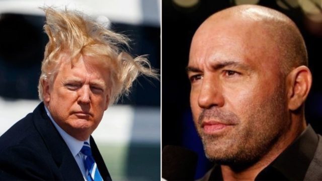 Calls for Joe Rogan to moderate the 2020 Presidential Debate intensify