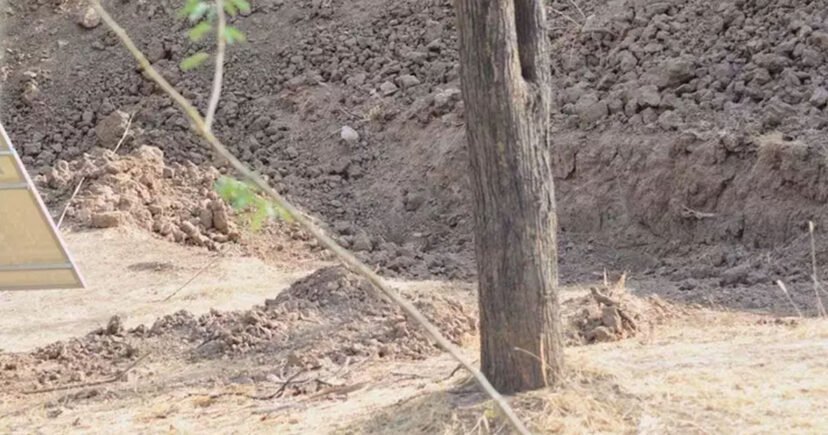 Some people claim they can’t see the leopard in this picture