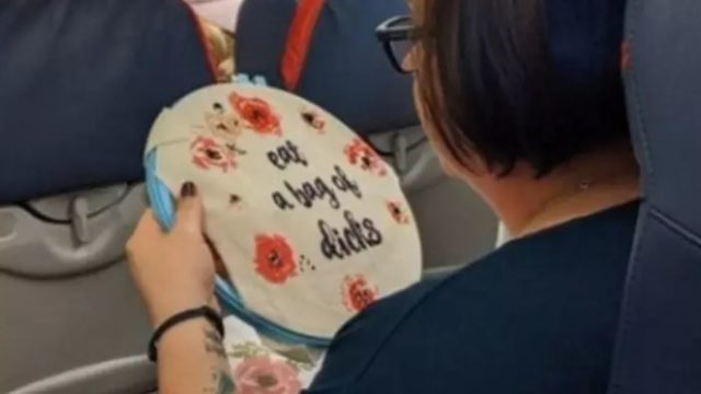 Woman’s in-flight cross-stitch managed to catch this passengers eye