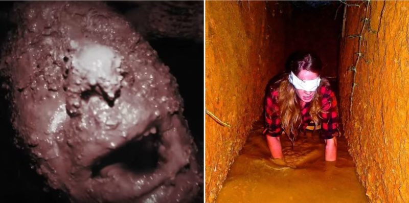 This haunted house is so terrifying, you’ll get a $20,000 prize if you finish it