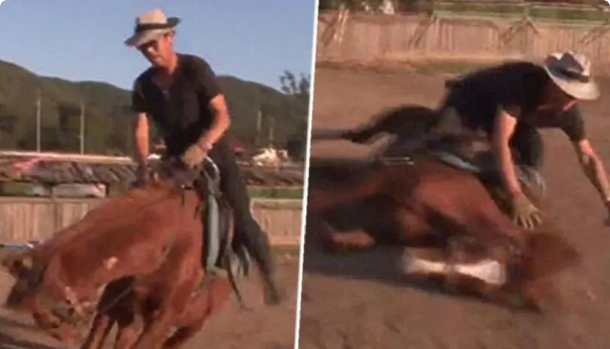 This dramatic horse plays dead when anyone attempts to to ride it