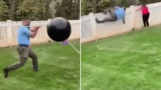 This attempted gender reveal turned into a bloody hilarious nightmare