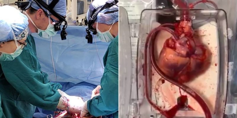 Some bloody clever Doctors have discovered way bring dead heart back to life