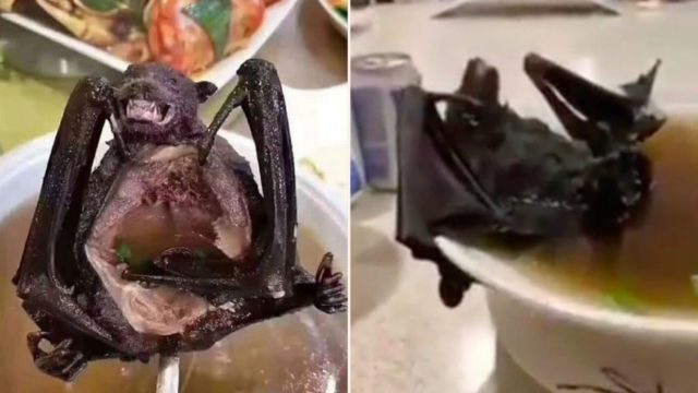 Footage emerges of Chinese eating bat soup that may be behind coronavirus