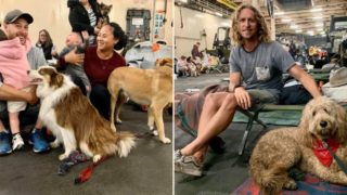 Aussie Navy sets up ship to house families with pets who lost homes in bushfires